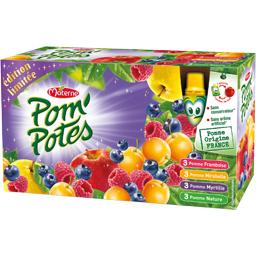 POM'POTE MULTIVARIETES 90G